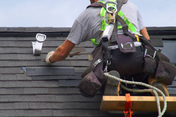 Best Roof Restoration Services  in Wayne City, IL