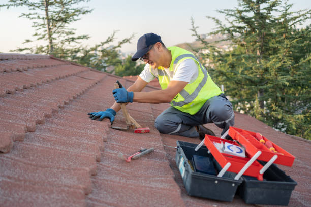 Best Roof Leak Repair  in Wayne City, IL