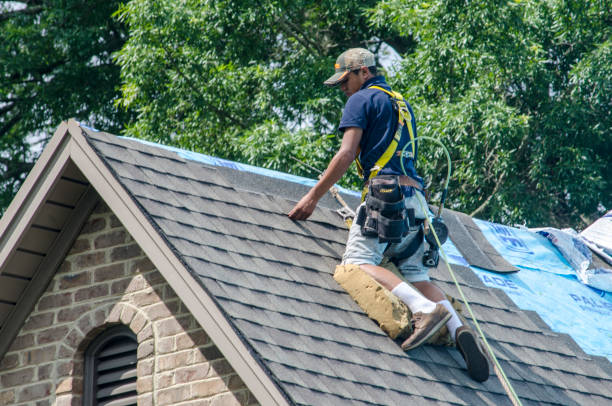 Professional Roofing Contractor in Wayne City, IL